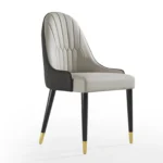 Frania Solid Back Side Dining Chair