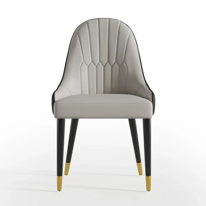 Frania Solid Back Side Dining Chair