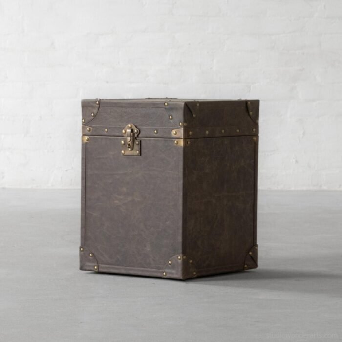 Leather Trunk And Storage End Table